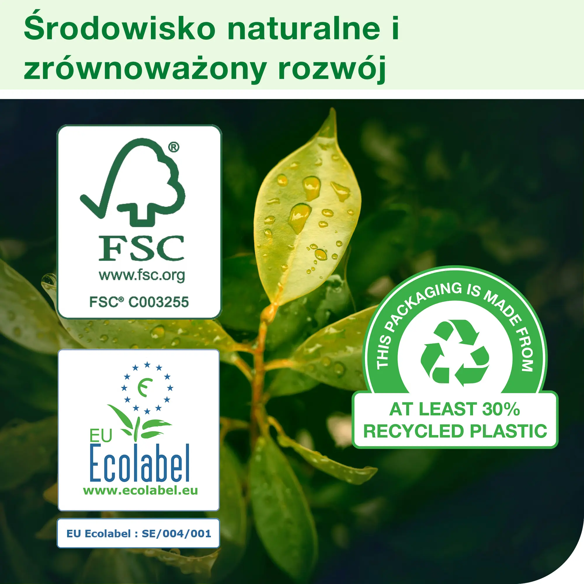 Czyściwo papierowe M4 Tork Reflex™, certyfikaty ekologiczne FSC i EU Ecolabel na tle zielonych liści